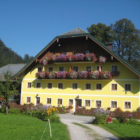 Biobauernhof Hauserbauer Hintersee Bagian luar foto