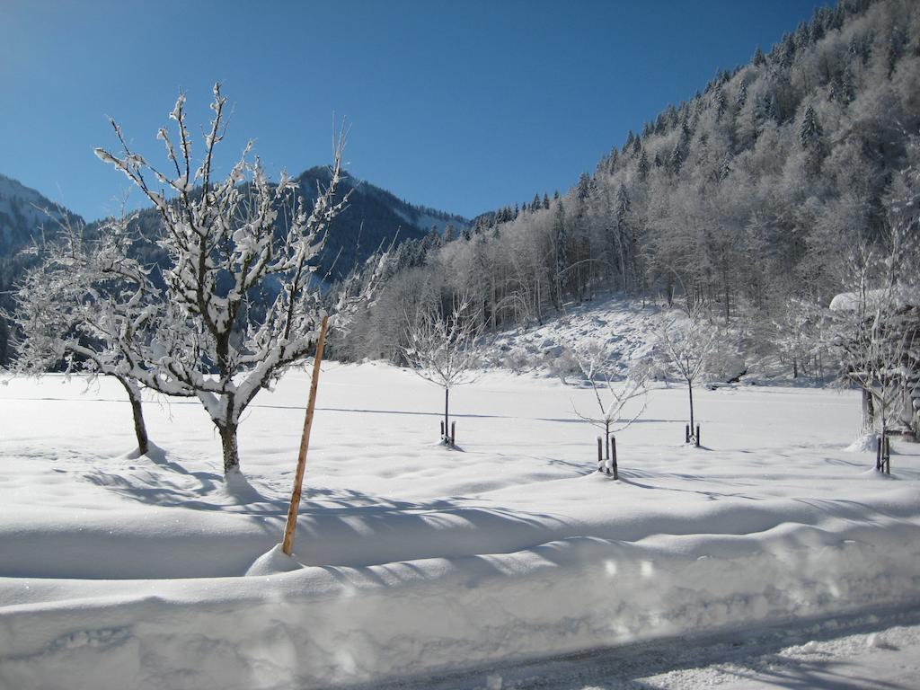 Biobauernhof Hauserbauer Hintersee Bagian luar foto
