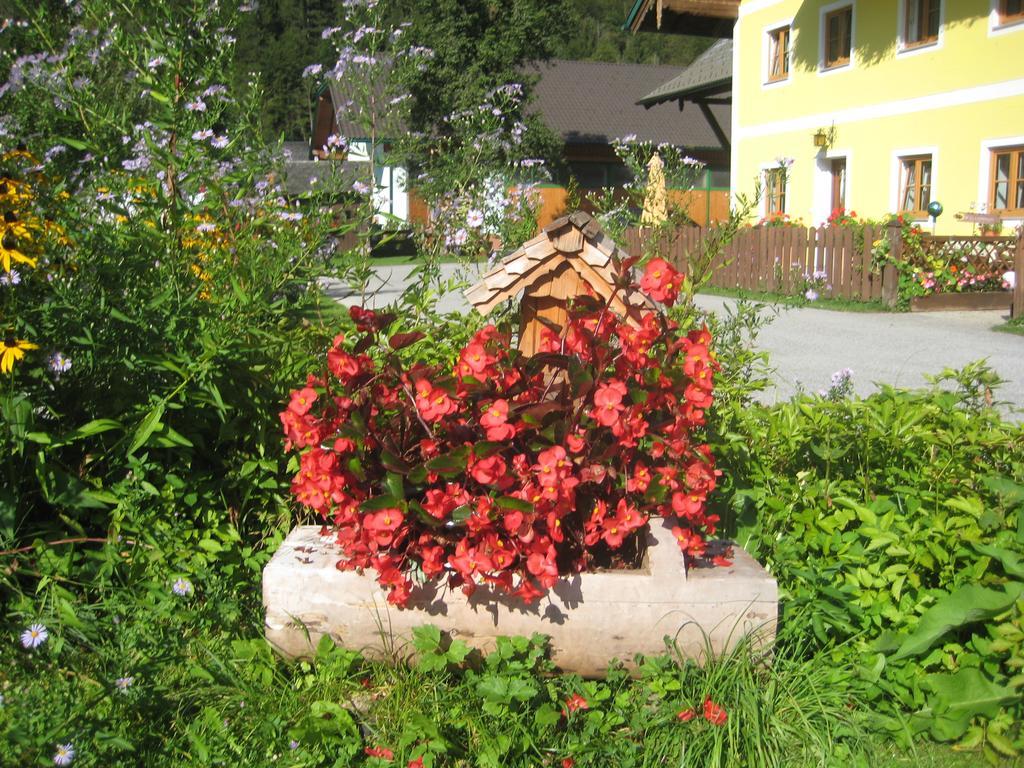 Biobauernhof Hauserbauer Hintersee Bagian luar foto