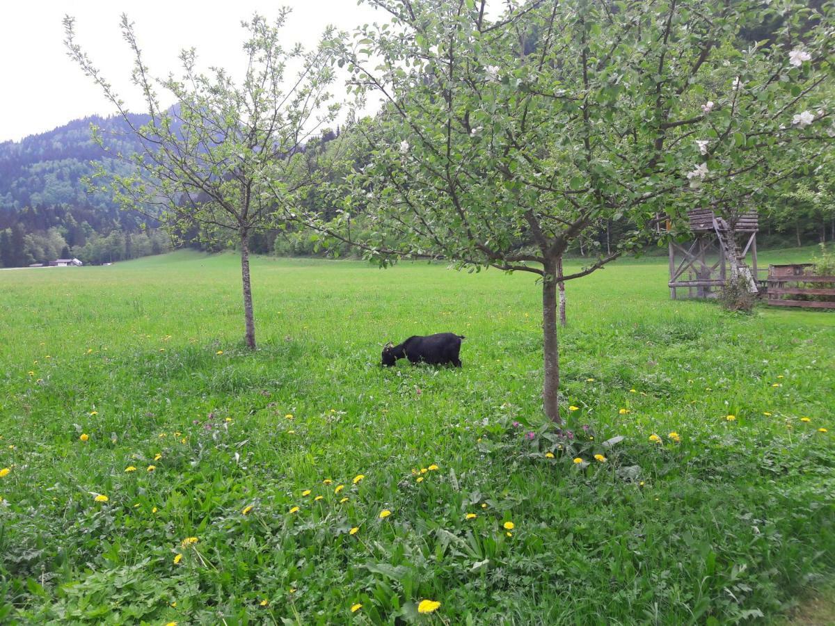 Biobauernhof Hauserbauer Hintersee Bagian luar foto
