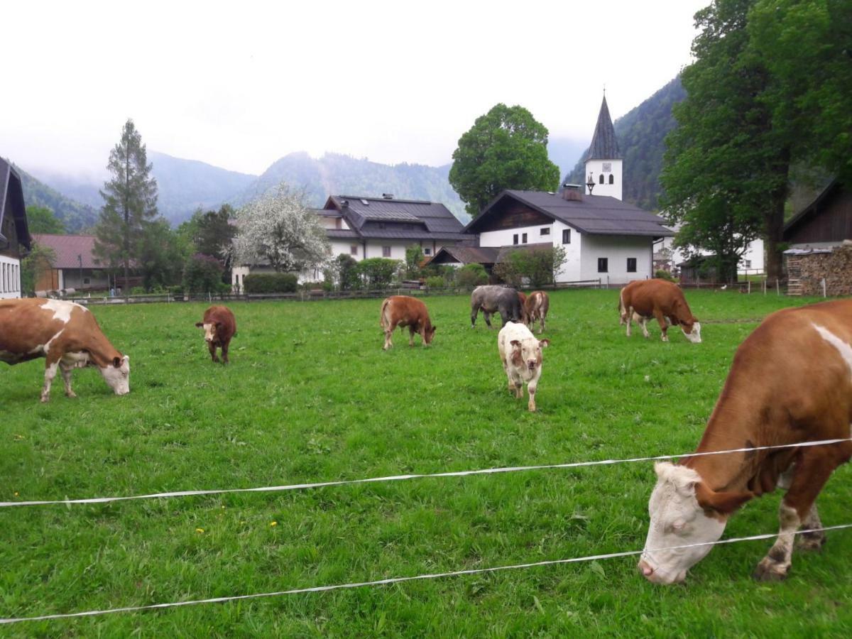 Biobauernhof Hauserbauer Hintersee Bagian luar foto