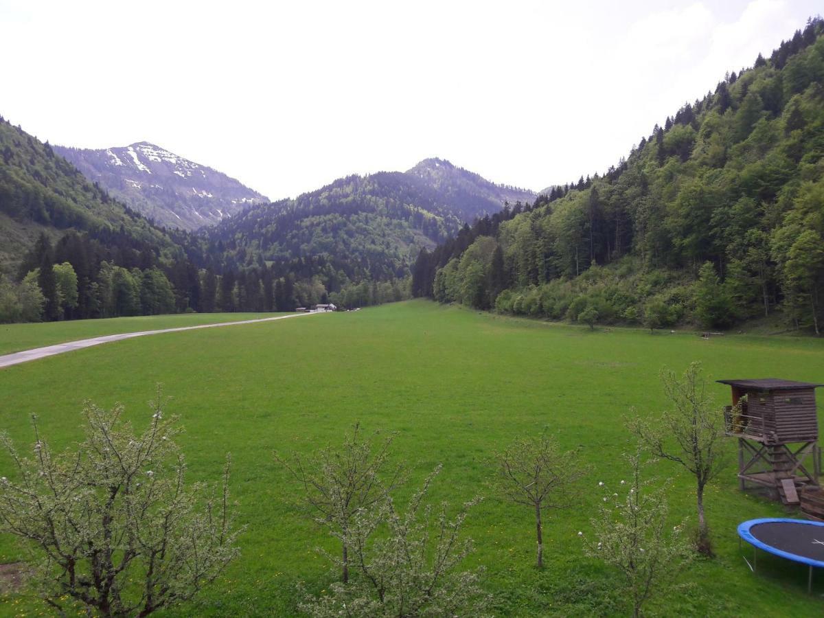 Biobauernhof Hauserbauer Hintersee Bagian luar foto