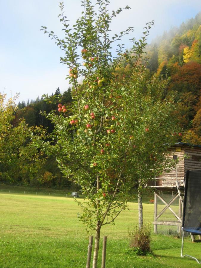 Biobauernhof Hauserbauer Hintersee Bagian luar foto