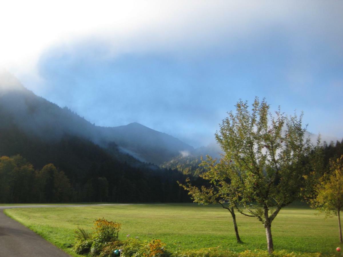 Biobauernhof Hauserbauer Hintersee Bagian luar foto
