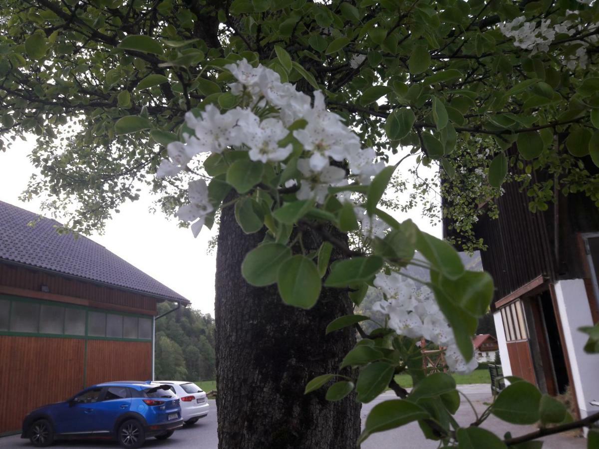 Biobauernhof Hauserbauer Hintersee Bagian luar foto
