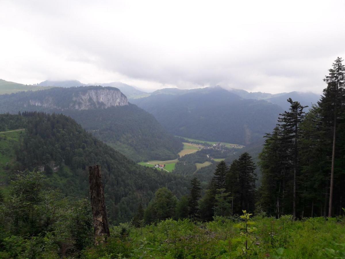 Biobauernhof Hauserbauer Hintersee Bagian luar foto